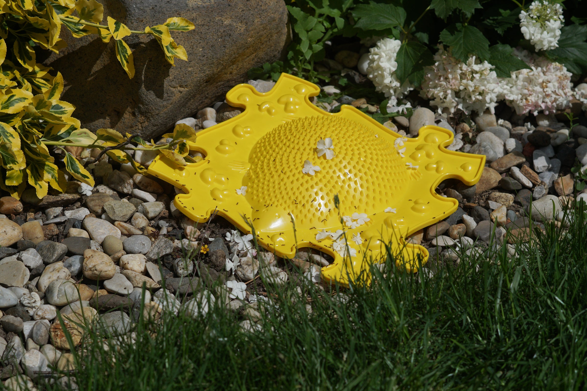 How barefoot stimulation with sensory play mats can boost child development