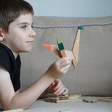 Brachiosaurus - Wooden Handmade Magnetic Toys - Game of Dinosaurs