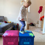 Small Pink Storage Box