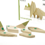 
  
  Triceratops - Wooden Handmade Magnetic Toys - Game of Dinosaurs
  
